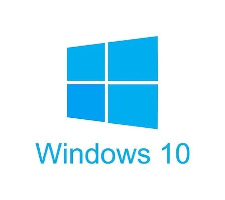 Windows 11